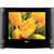 TV LG Ultra Slim CRT 14 Polegadas