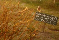 Ricardo Duarte/