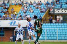  Flavio Neves  /