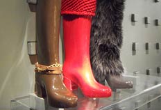 bota montaria melissa