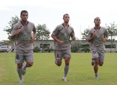  Assessoria de imprensa Figueirense F.C.  /
