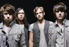 divulga��o�/�divulga��o