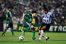 Tom Dib, Lancepress /