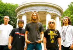 Divulga��o�/�