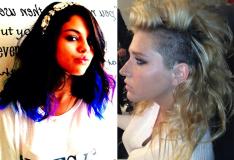 Reprodu��o, Twitter�/�