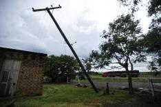 Ronald Mendes�/�