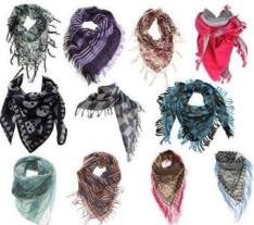 divulgação / divulgação