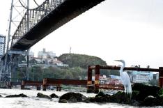 Jess� Giotti�/�Agencia RBS