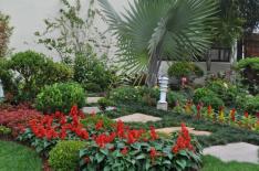 Maria Luiza Naumann / Divulgação Maria Luiza Naumann / Divulgação