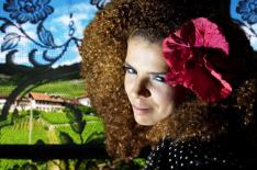 divulga��o�/�Divulga��o