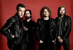 Divulga��o�/�