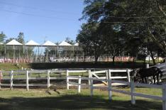 Fernanda Ramos / Agencia RBS