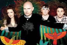 Divulga��o�/�