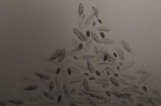 priscila dos anjos�/�Divulga��o