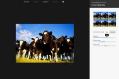 Google+�/�Reprodu��o