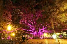 Cristiano_Goncalez�/�Agencia RBS