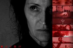 reprodu��o�/�Divulga��o