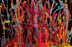 Martin Klimas�/�Reprodu��o