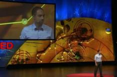 Reproduo/TED