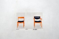 Alexandre Schwanke/Reproduo