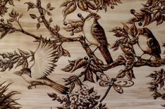 Divulga��o�/�Divulga��o