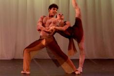 Work In Progress�/�Vanderleia Macalossi