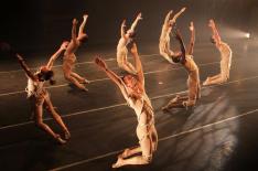 Bruno Martins�/�divulga��o