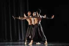 Alvar Fa�ez�/�Divulga��o