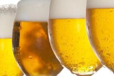 Dicas da Capital�/�Divulga��o