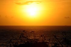 Guto Kuerten�/�Agencia RBS