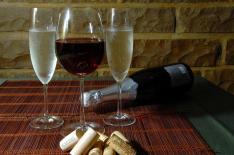 Tatiana Cavagnolli�/�Agencia RBS