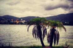 Luiz Daudt Jr.�/�Ag�ncia RBS