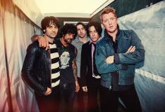 Divulga��o�/�