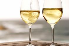 nao se aplica�/�picasaweb,reproducao