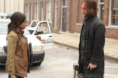 Fox�/�Divulga��o