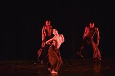 Nilson Bastian�/�Divulga��o