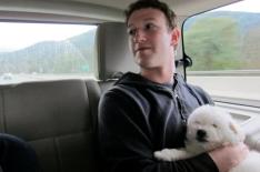 Facebook�/�Reprodu��o