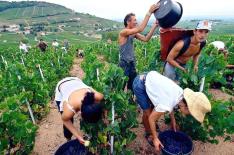 Ver Descri��o�/�Ver Descri��o