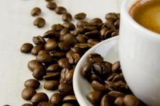 Divulga��o�/�Divulga��o