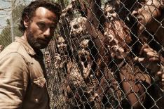 AMC�/�DIVULGA��O