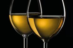 Divulga��o�/�Divulga��o