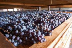 BKWine Photography�/�Divulga��o