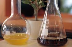 Nathaniel Brooks/�/�NYTNS