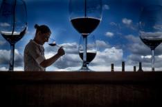 Jess� Giotti�/�Agencia RBS