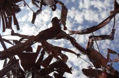 0�/�Divulga��o