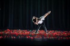 Eduardo Trauer�/�divulga��o