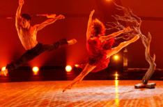 Fox�/�Divulga��o