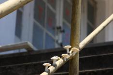 Peninha Machado�/�divulga��o