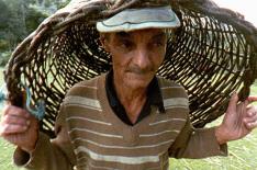 Seo Chico,Um Retrato�/�Reprodu��o