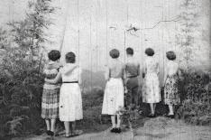 prefeitura de joinville/Divulgao